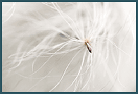 Wyr��nienie w konkursie Fotograf Roku 2016 ZPFP Okr�g Mazowiecki :: kategoria kompozycja i forma :: <a style='text-decoration:none;' href='https://www.facebook.com/media/set/?set=a.1132011133485131.1073741856.109647999054788&type=3' target='_blank'><font color='#a3ebfe'><b>POTARGANY</b></font></a>