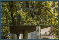 II miejsce w konkursie Fotograf Roku 2015 ZPFP Okr�g Mazowiecki :: kategoria �wiat w naszych r�kach :: <a style='text-decoration:none;' href='https://www.facebook.com/media/set/?set=a.942885669064346.1073741852.109647999054788&type=1' target='_blank'><font color='#a3ebfe'><b>OBIEKT CHRONIONY</b></font></a>